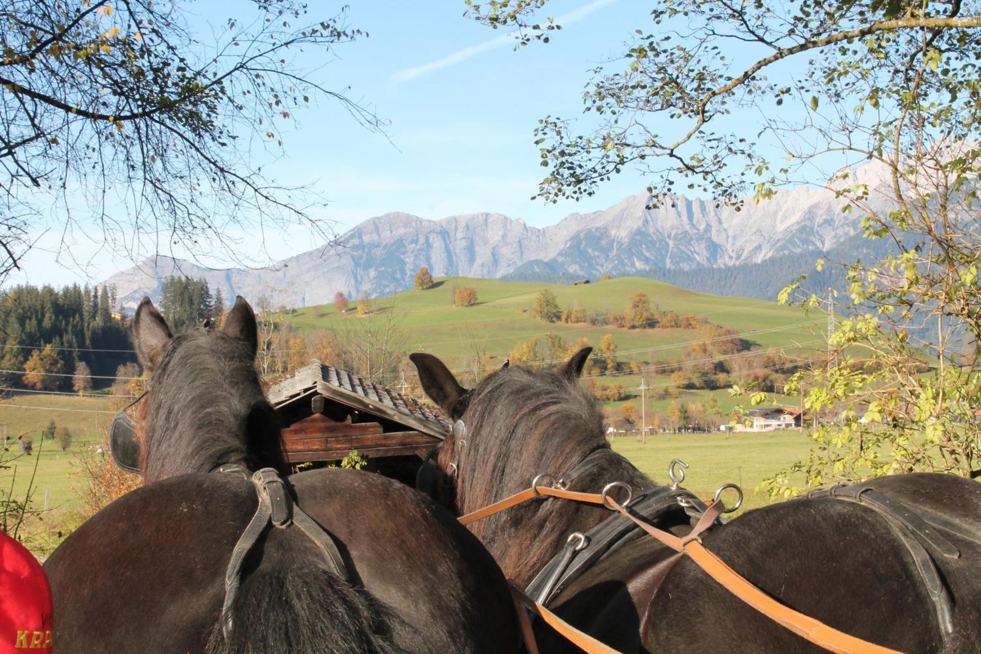 Oberdeutinghof * Saalfelden